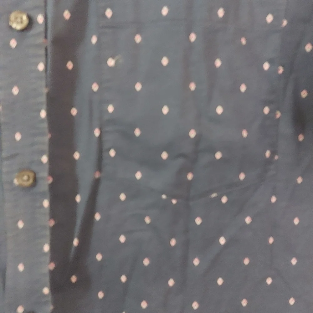 Banana Republic Mens Shirt Sleeve Button Down Shirt